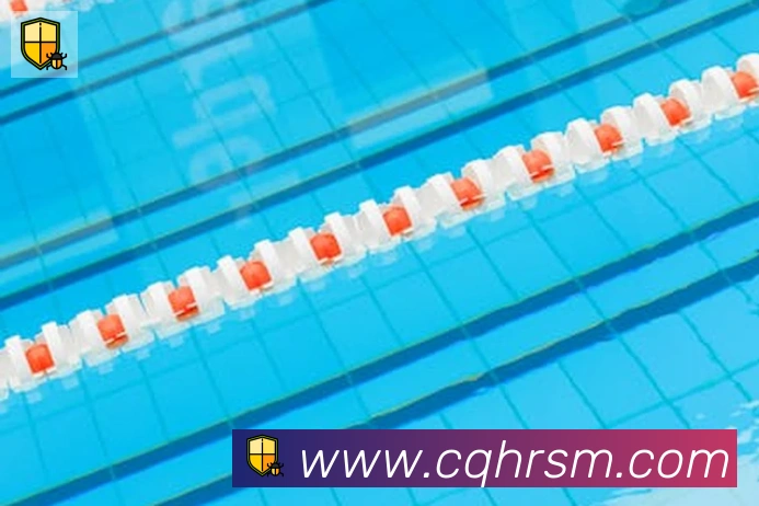 必一体育官网平台生态图