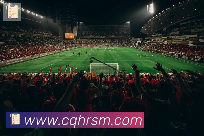 必一体育官网荣誉