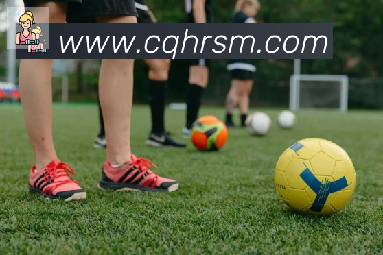 必一体育官网荣誉