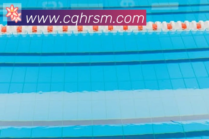 必一体育官网荣誉