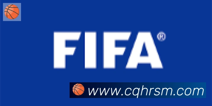 必一体育官网合作伙伴