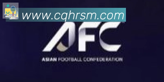 必一体育官网合作伙伴